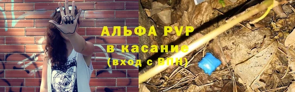 сатива Алексин