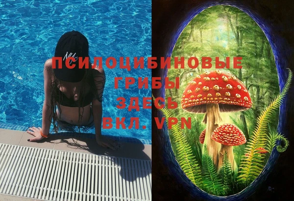 первитин Алексеевка