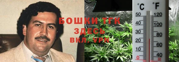 сатива Абинск
