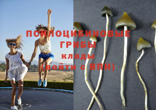 ешки Абдулино