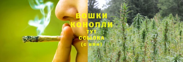 сатива Абинск
