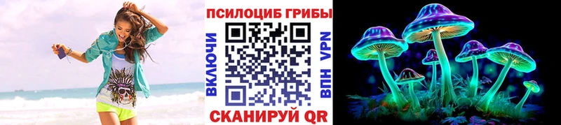 Псилоцибиновые грибы Psilocybe  Туринск 